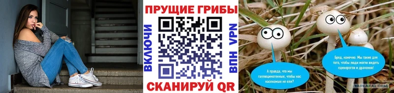 Купить закладки  Новый Оскол  Псилоцибиновые грибы ЛСД 